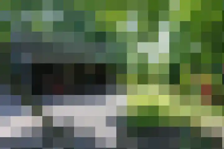 Feddemaweg 3 Kloosterburen thumbnail 39