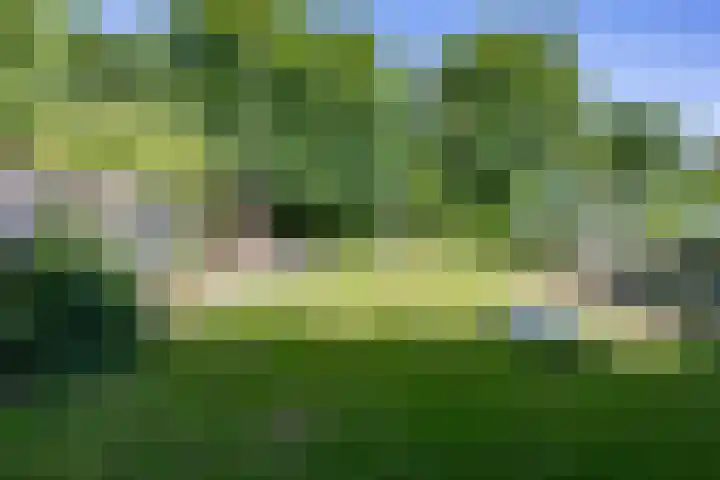 Feddemaweg 3 Kloosterburen thumbnail 43