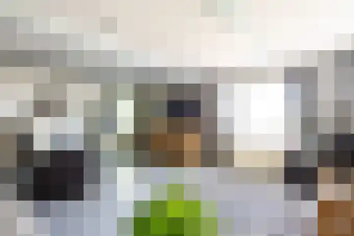 Feddemaweg 3 Kloosterburen thumbnail 6