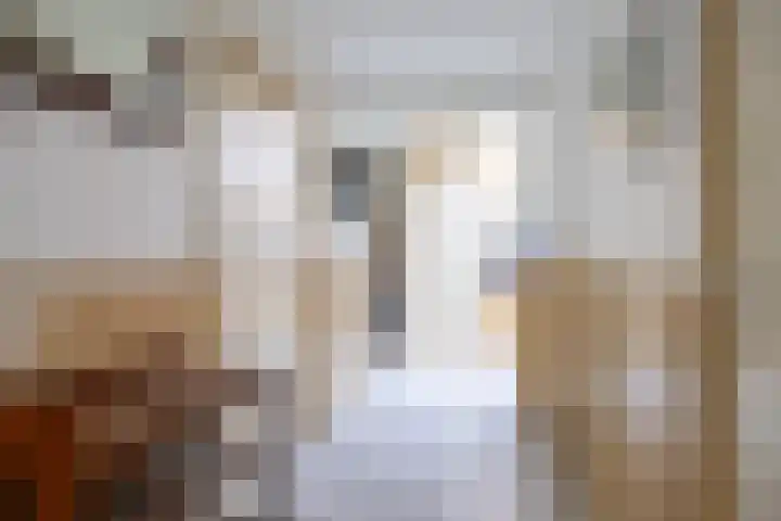 Feddemaweg 3 Kloosterburen thumbnail 9