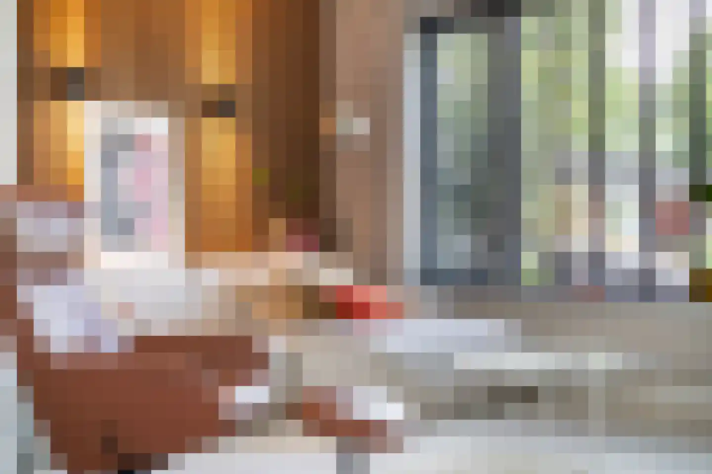Feersma Hoekstrastrjitte 29 Aldwâld thumbnail 12