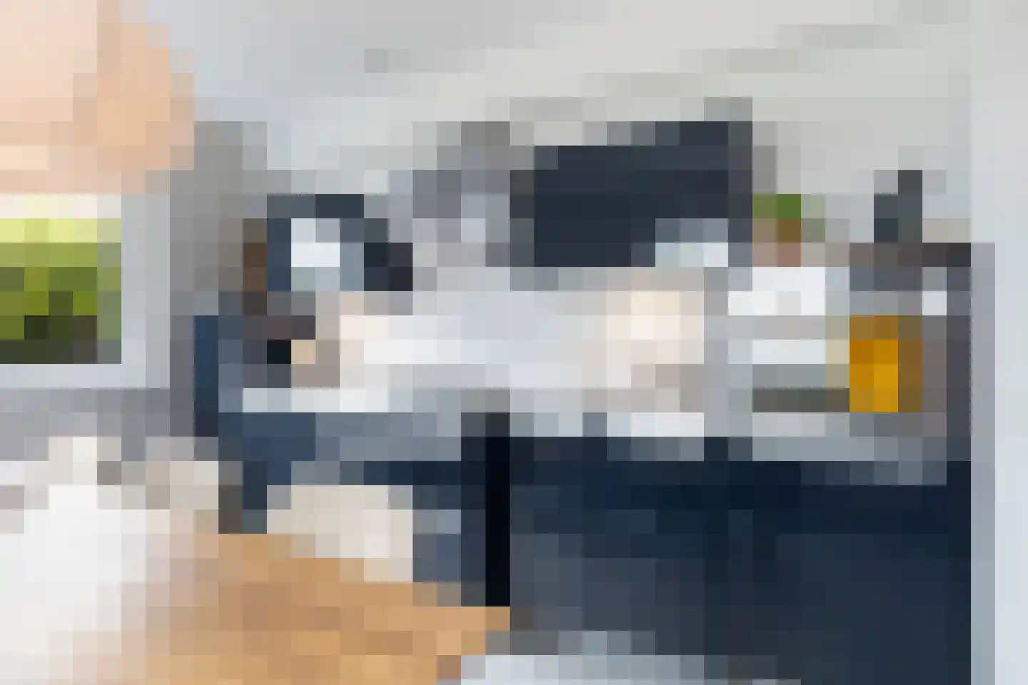 Feersma Hoekstrastrjitte 29 Aldwâld thumbnail 17