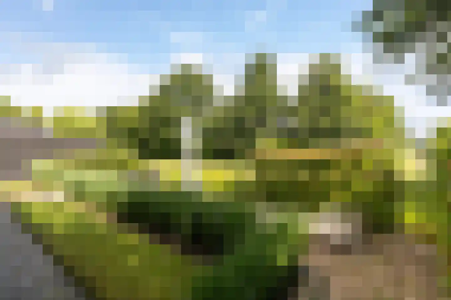 Feersma Hoekstrastrjitte 29 Aldwâld thumbnail 22