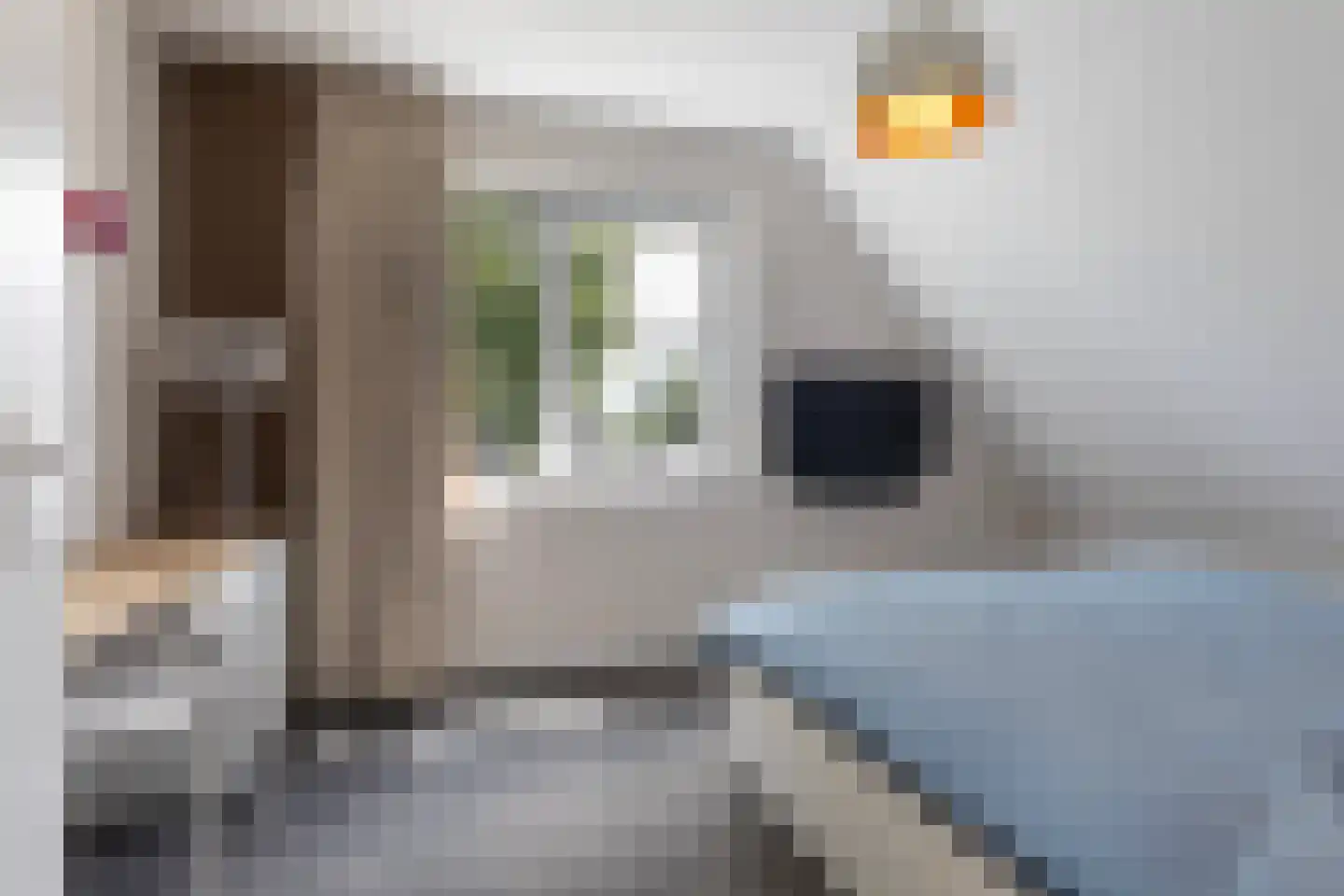 Feersma Hoekstrastrjitte 29 Aldwâld thumbnail 34