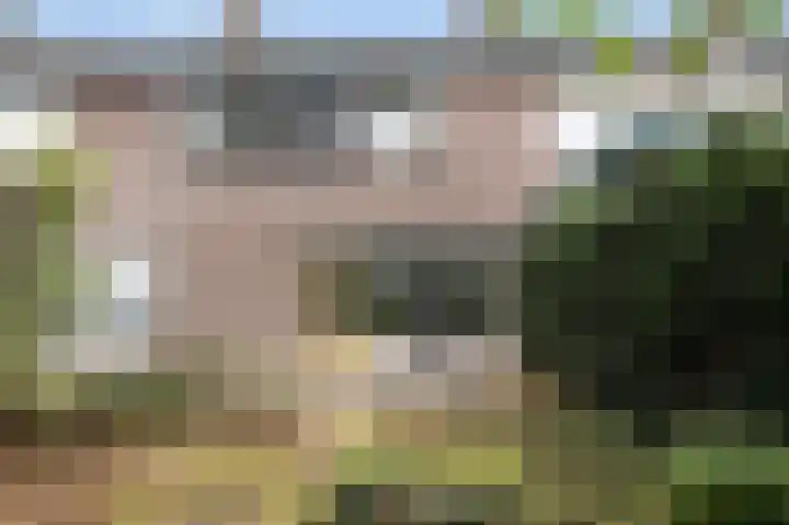 Feerwerdpad 4 Arnhem