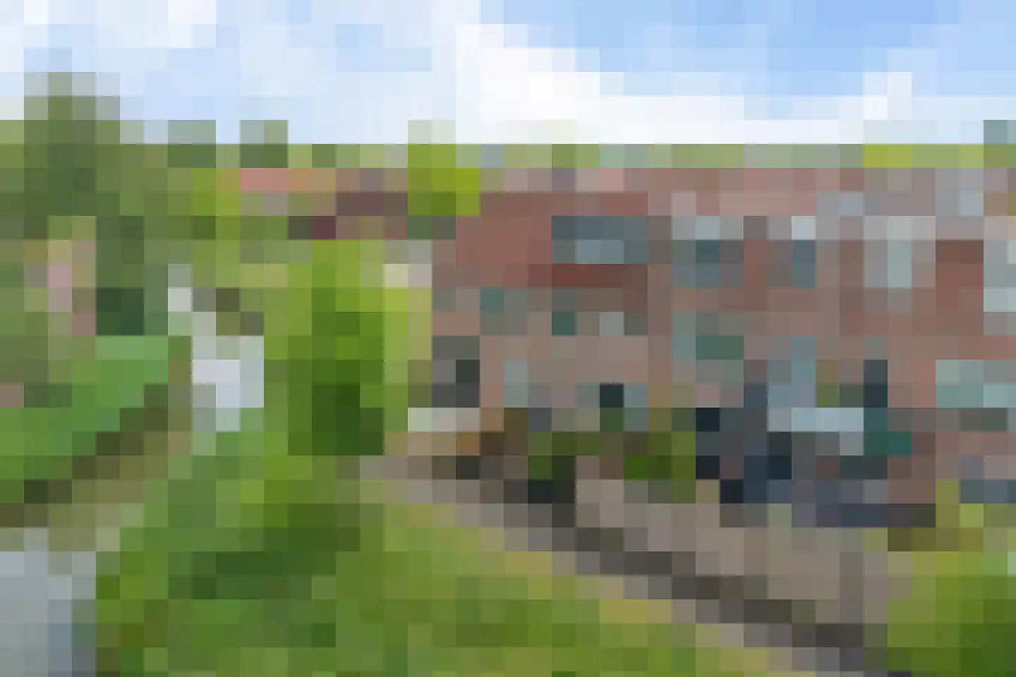 Feestdans 59 Capelle aan den IJssel thumbnail 4