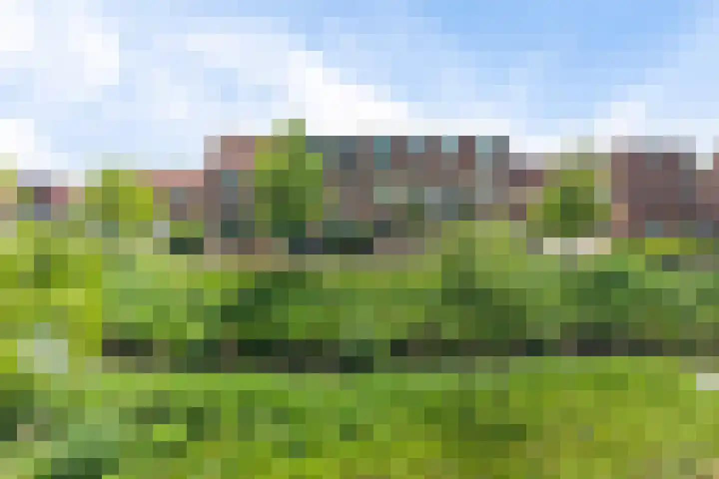 Feestdans 59 Capelle aan den IJssel thumbnail 7