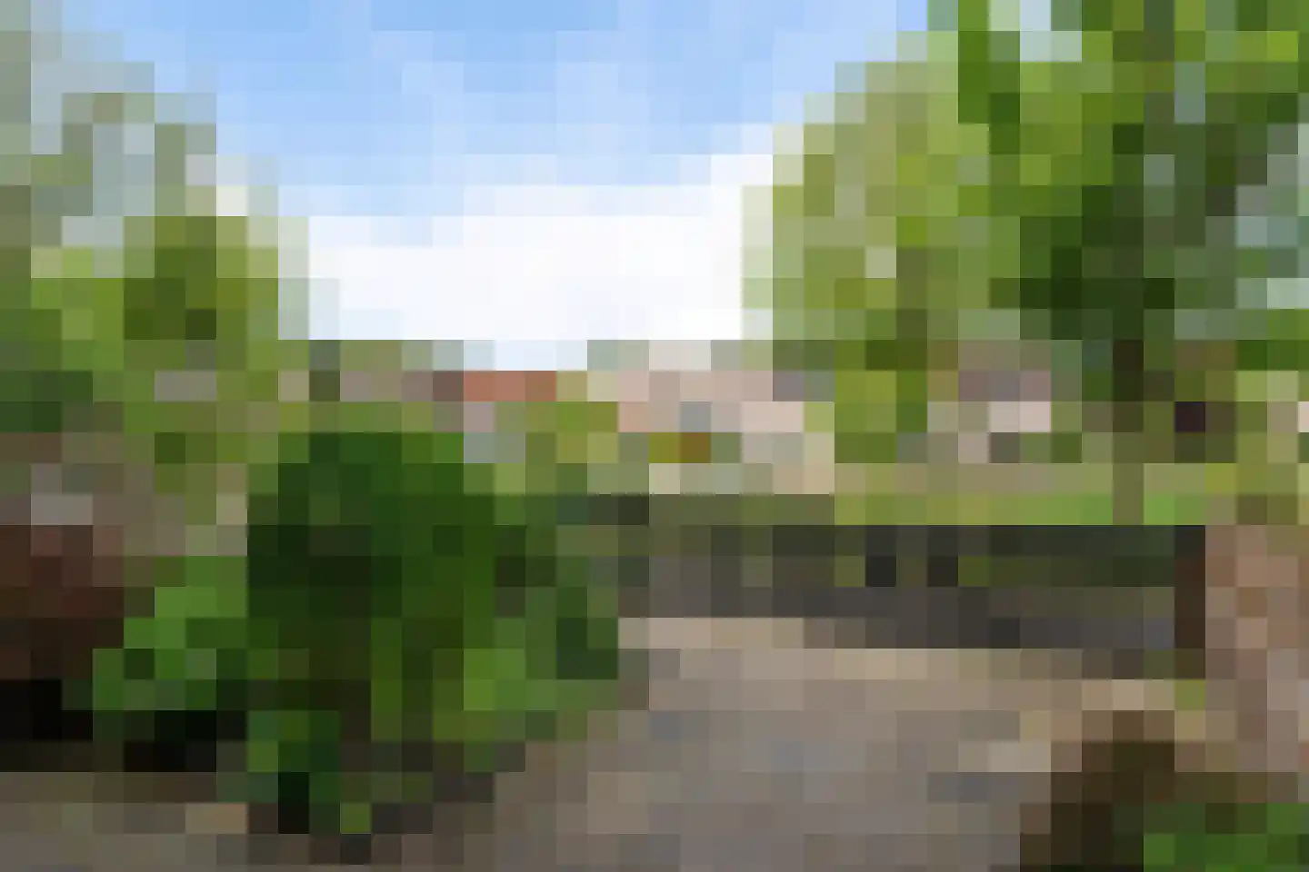 Feestdans 59 Capelle aan den IJssel thumbnail 9