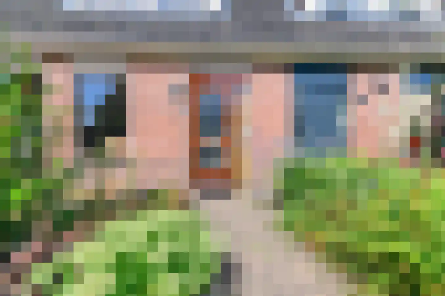 Feestlân 16 Lippenhuizen thumbnail 12