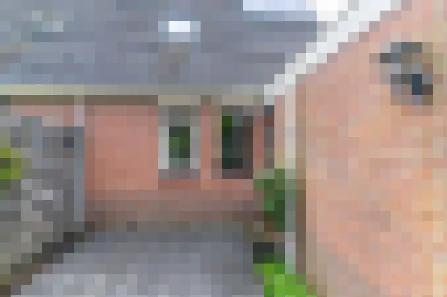 Feestlân 16 Lippenhuizen thumbnail 15