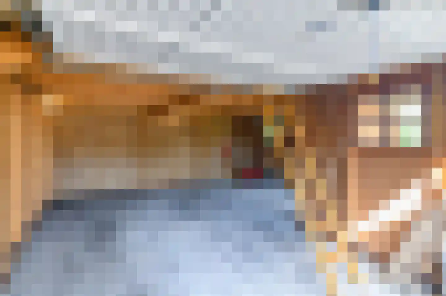 Feestlân 16 Lippenhuizen thumbnail 18