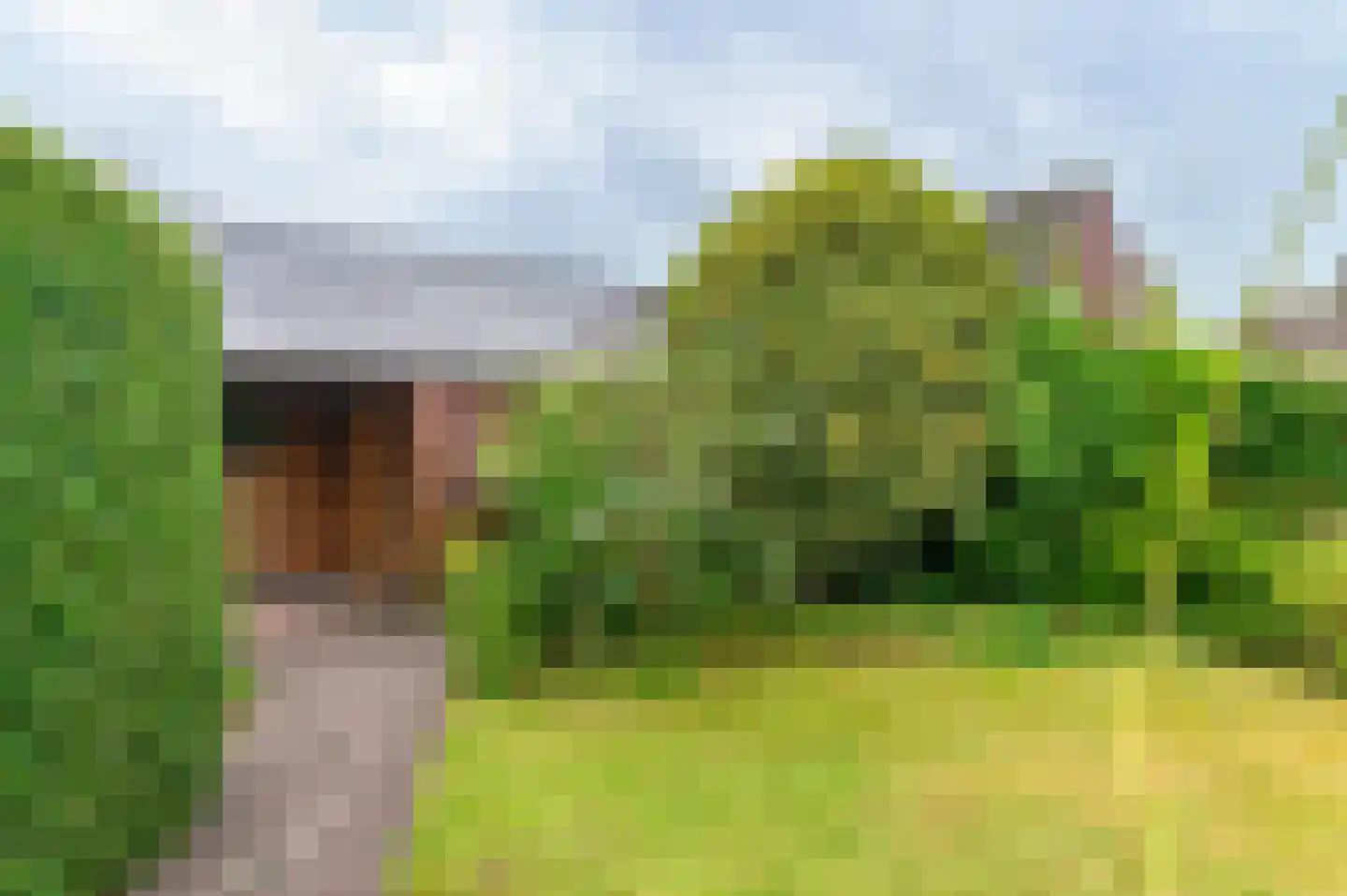 Feestlân 16 Lippenhuizen thumbnail 20