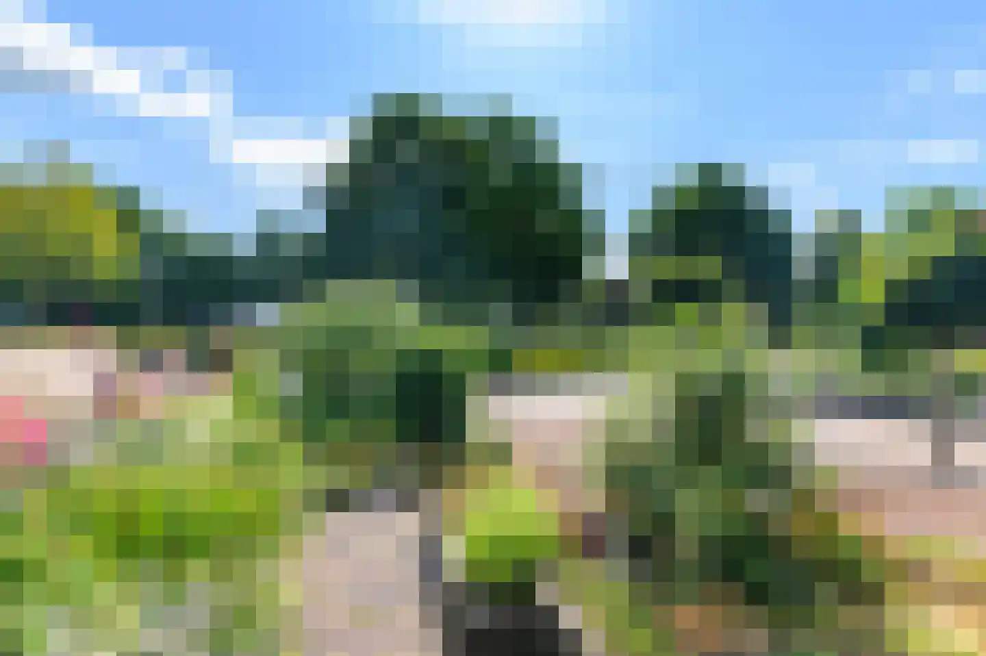 Feestlân 16 Lippenhuizen thumbnail 25