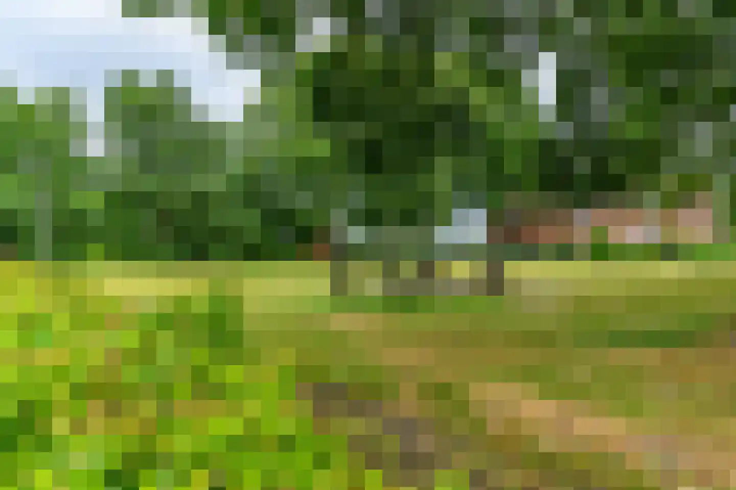 Feestlân 16 Lippenhuizen thumbnail 26