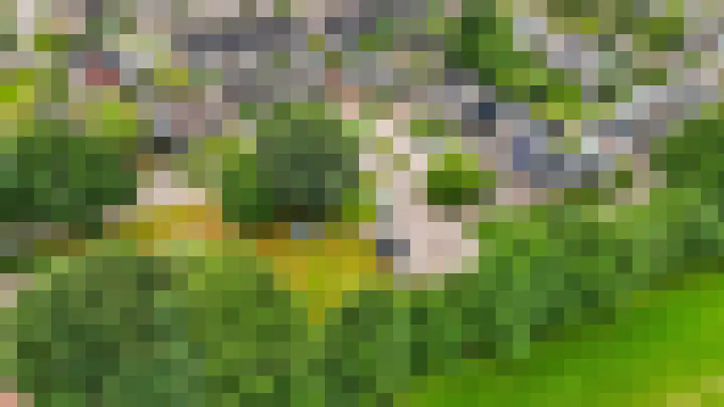 Feestlân 16 Lippenhuizen thumbnail 31
