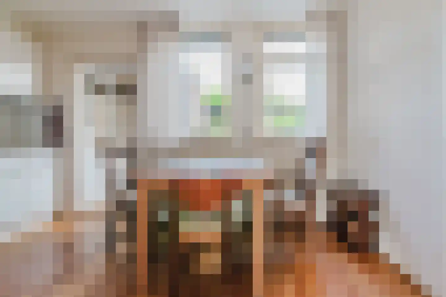 Feestlân 16 Lippenhuizen thumbnail 38