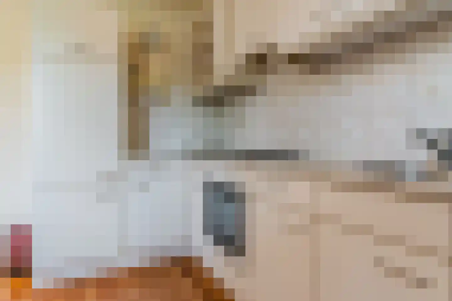 Feestlân 16 Lippenhuizen thumbnail 40