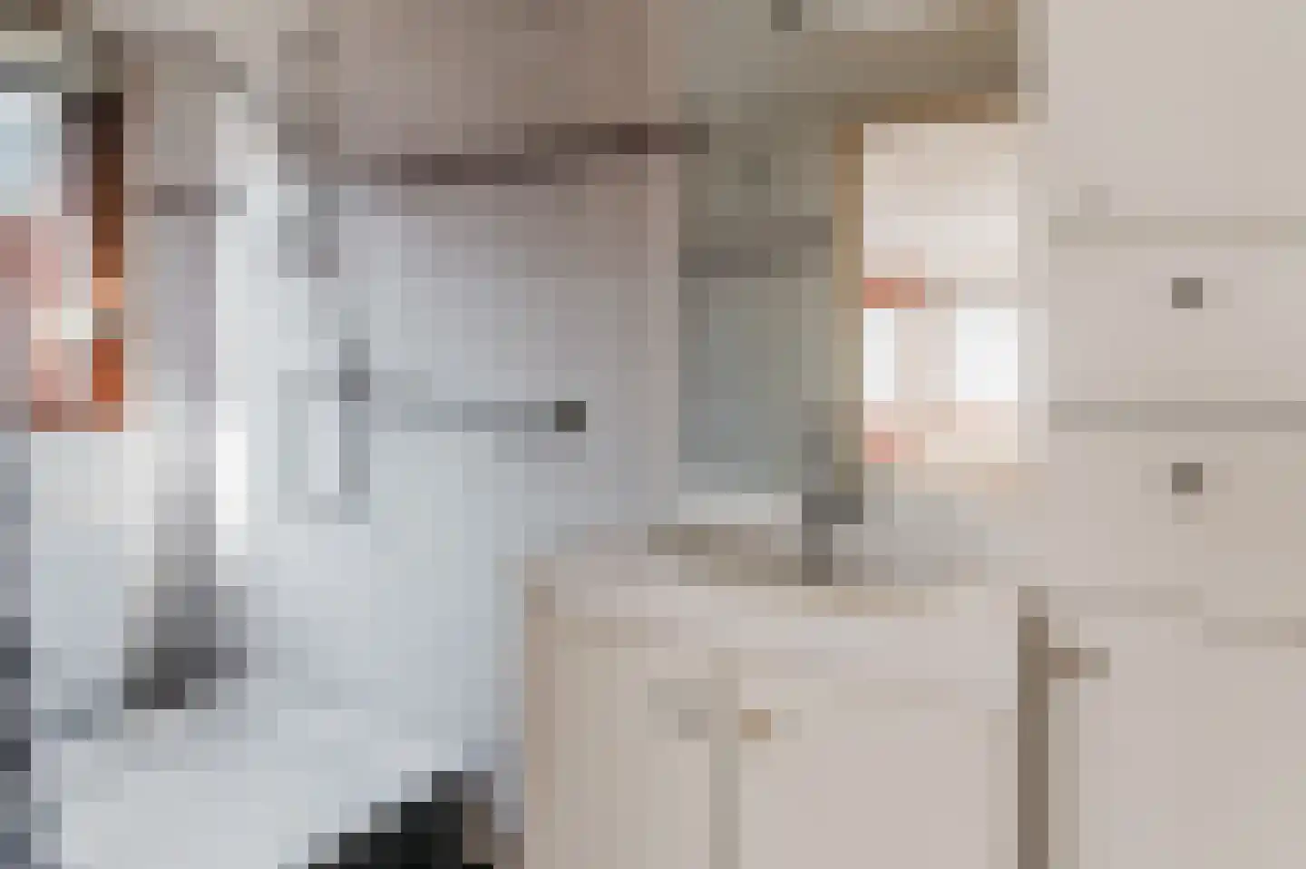 Feestlân 16 Lippenhuizen thumbnail 47