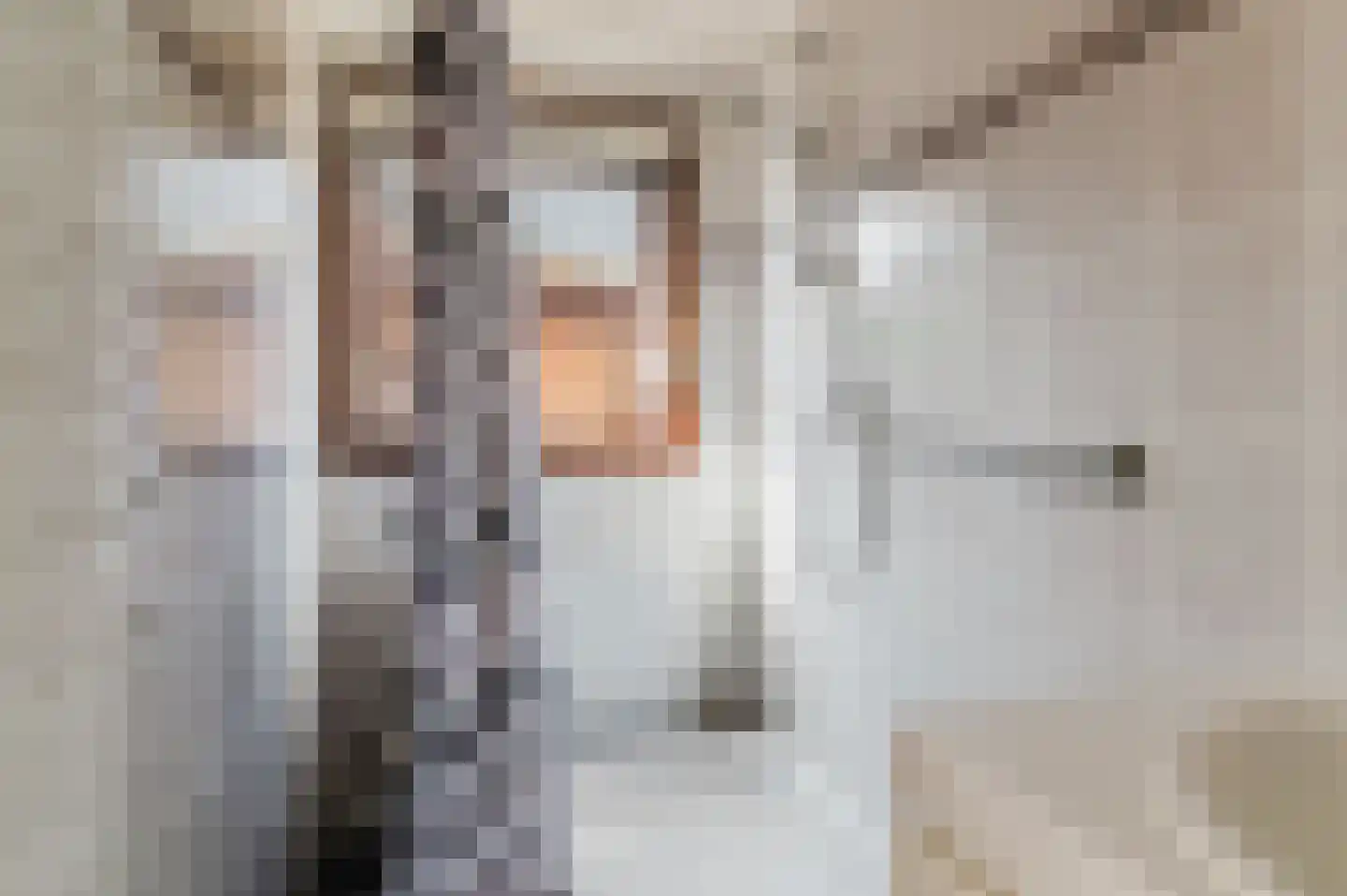 Feestlân 16 Lippenhuizen thumbnail 48