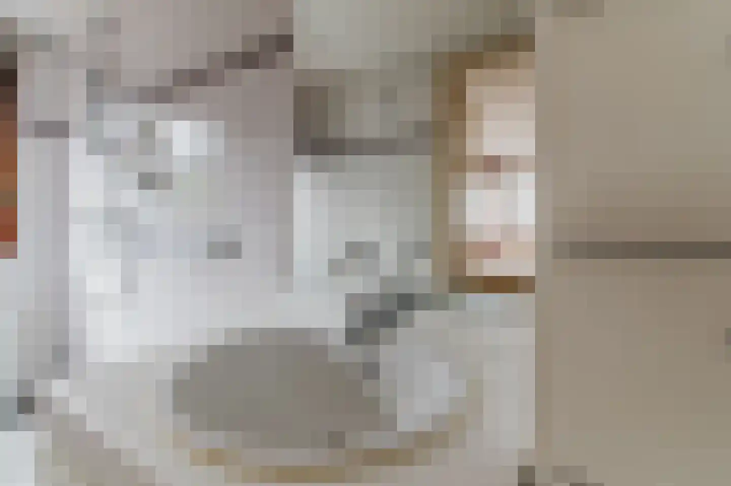 Feestlân 16 Lippenhuizen thumbnail 49