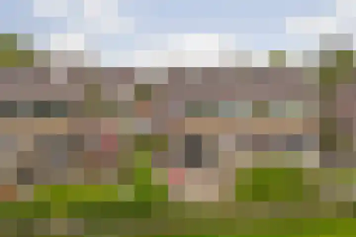 Feie van Inthiemastraat 18 Koudum thumbnail 28
