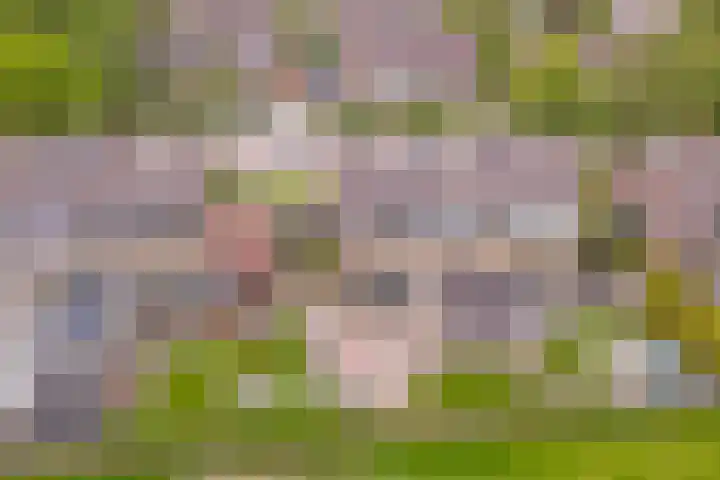 Feie van Inthiemastraat 18 Koudum thumbnail 29