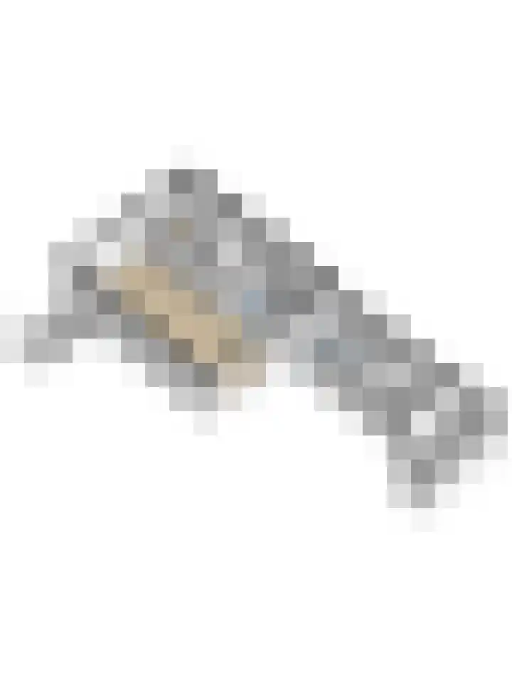 Feie van Inthiemastraat 18 Koudum thumbnail 35