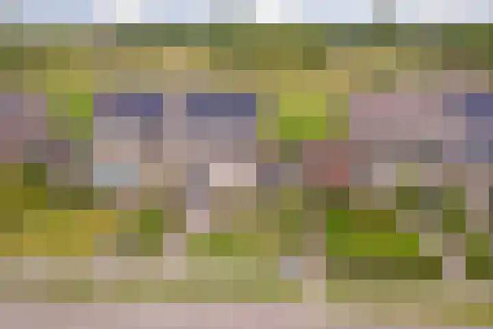 Feie van Inthiemastraat 18 Koudum thumbnail 40