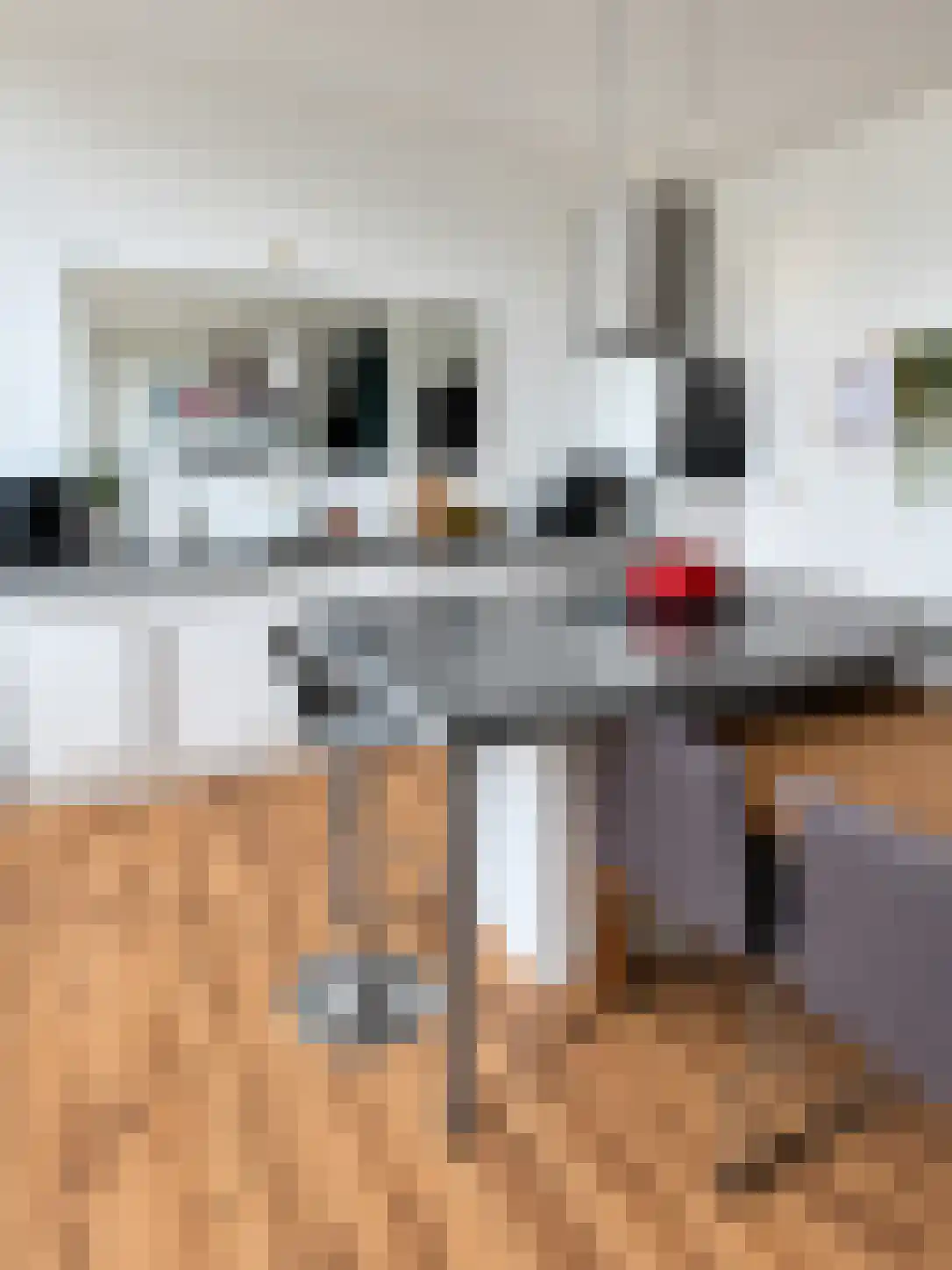 Feijenoordkade 16 A Rotterdam thumbnail 4