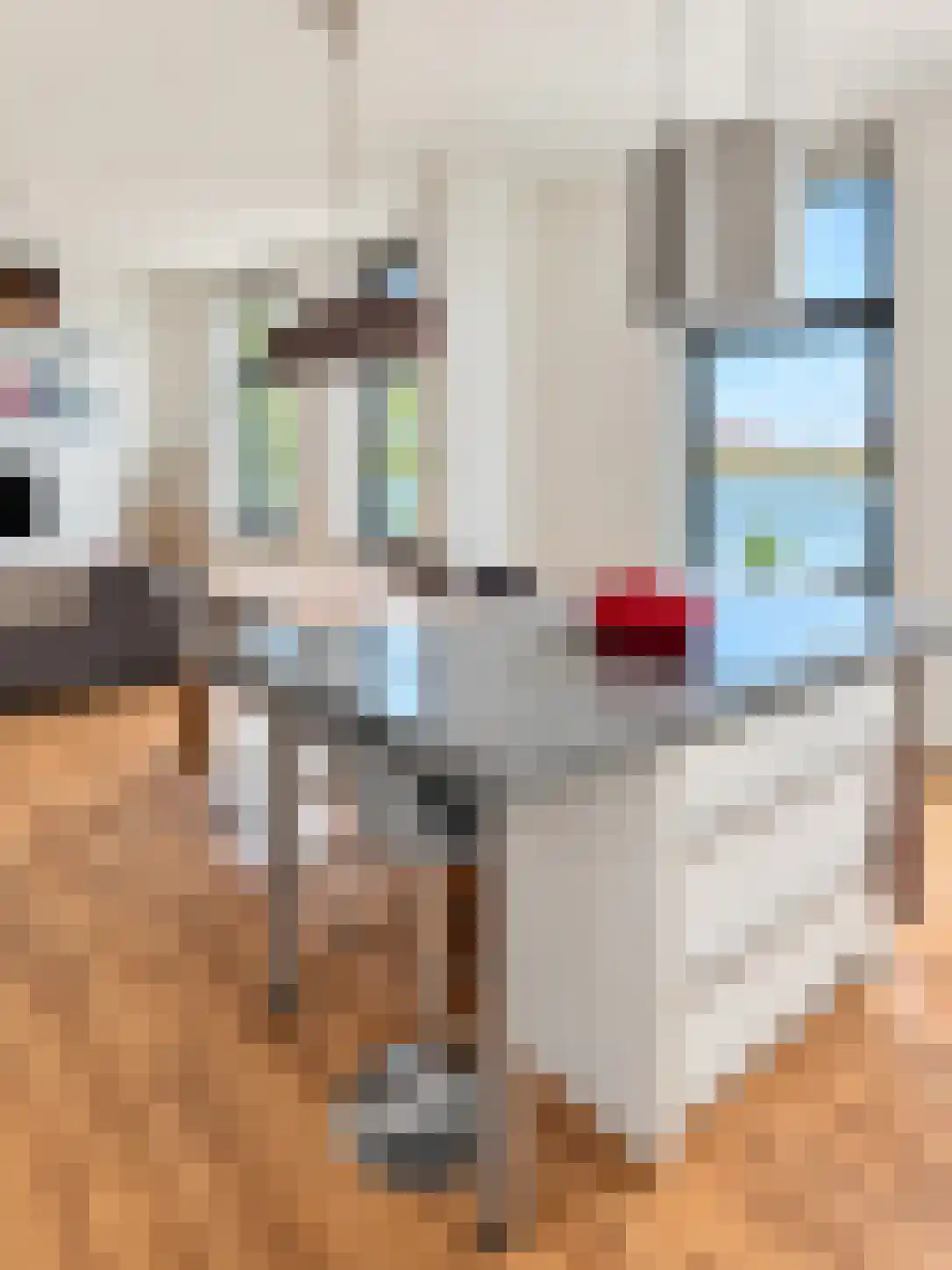 Feijenoordkade 16 A Rotterdam thumbnail 5