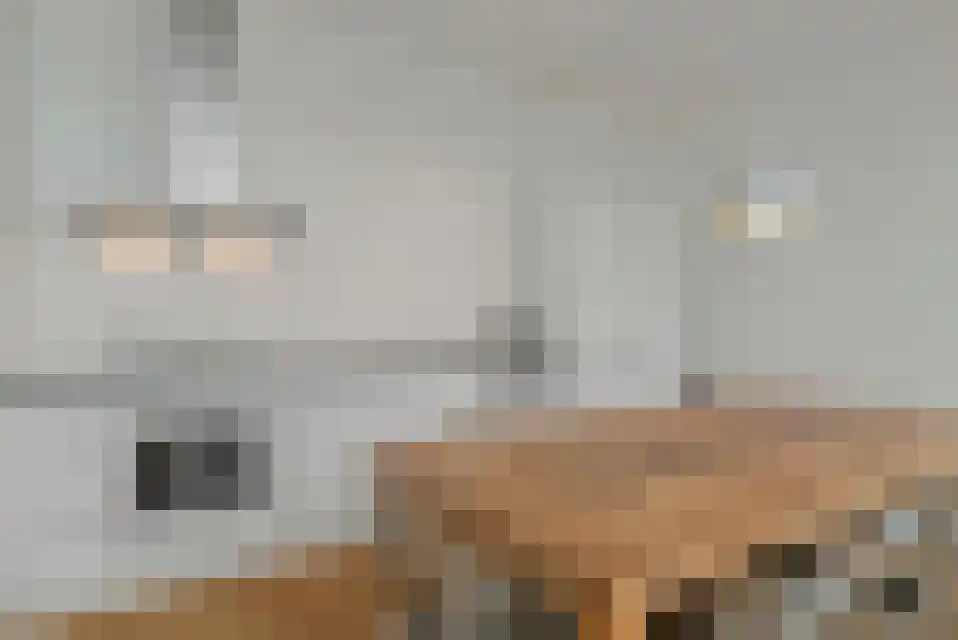 Feijenoordkade 19 Rotterdam thumbnail 5
