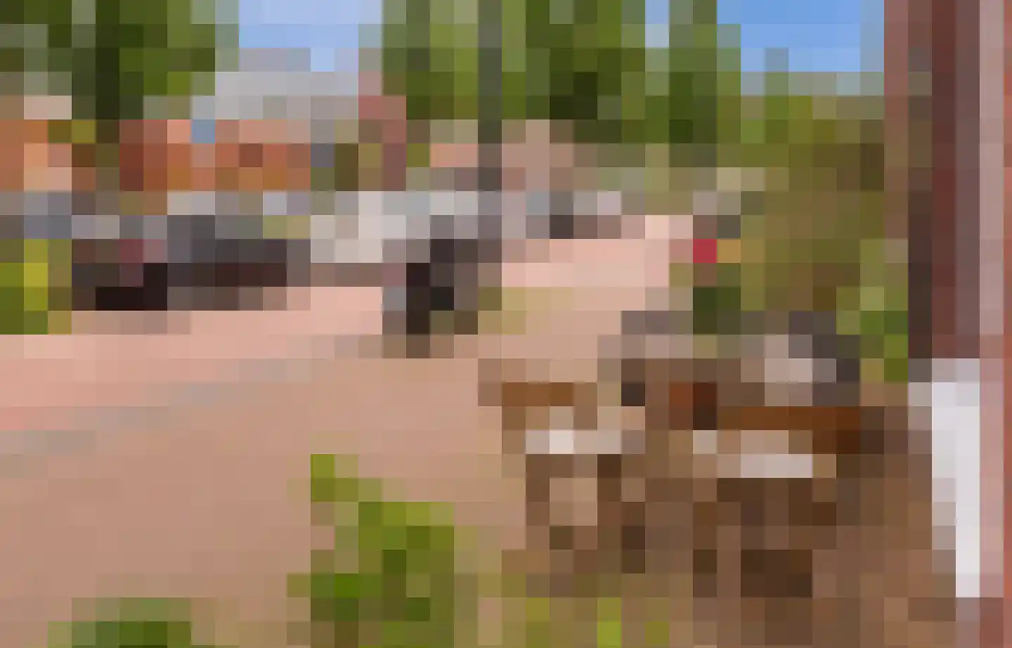 Feike de Boerlaan 132 Amsterdam thumbnail 32