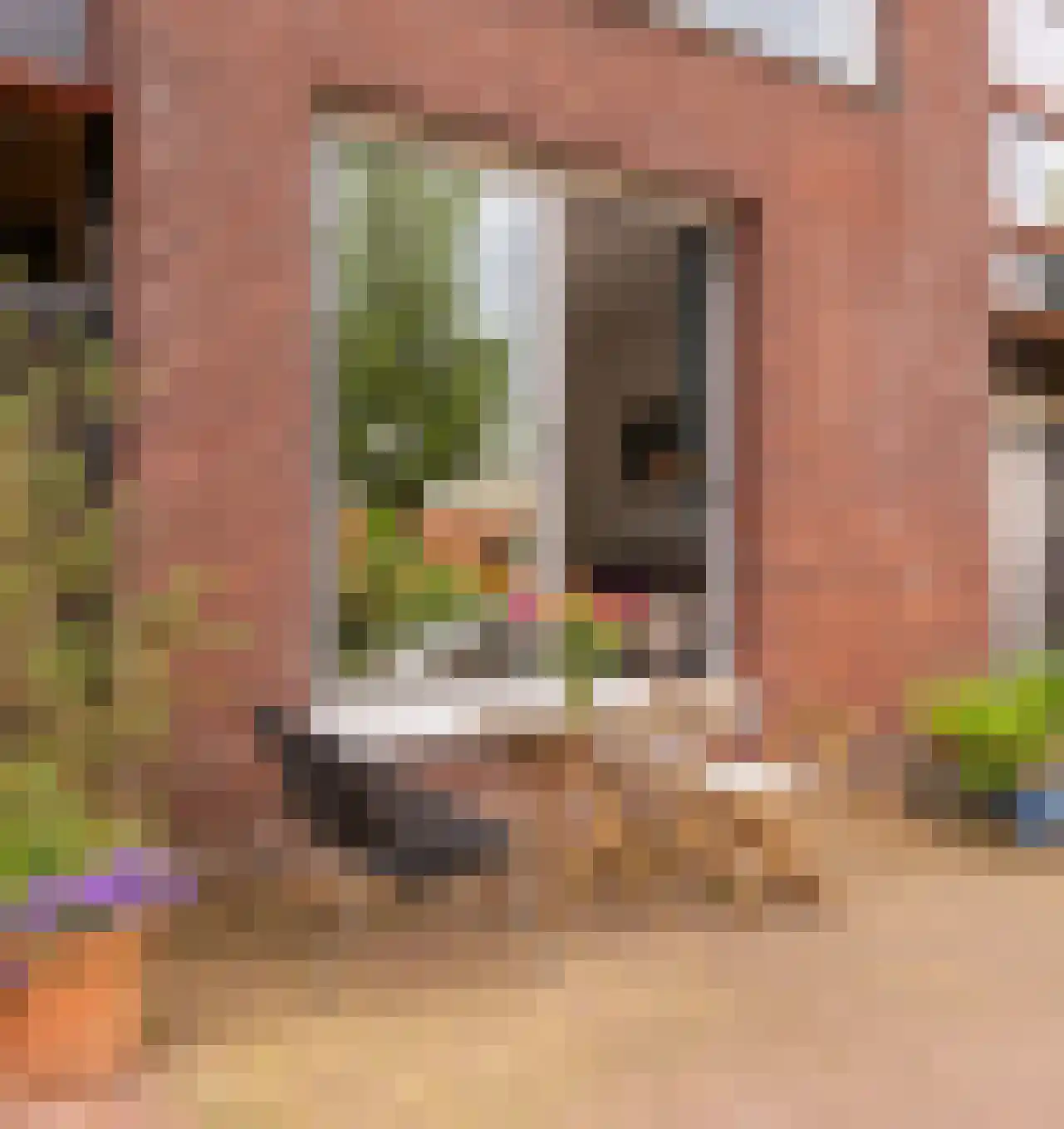 Feike de Boerlaan 132 Amsterdam thumbnail 7