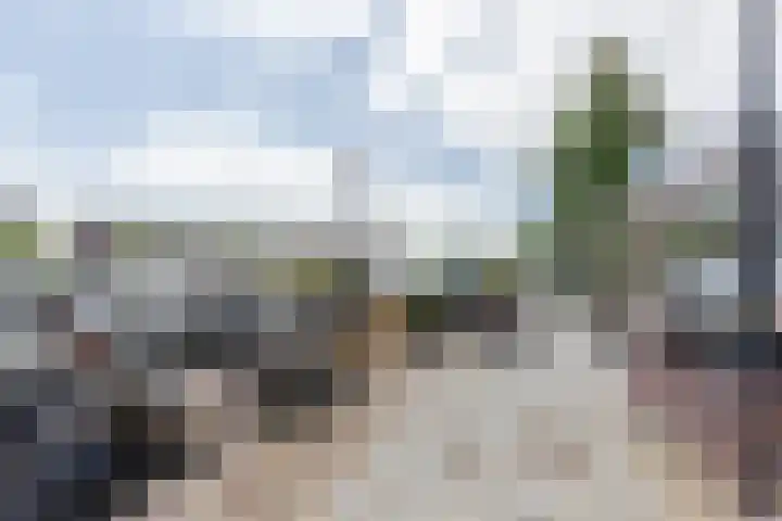 Feike de Boerlaan 142 Amsterdam thumbnail 36