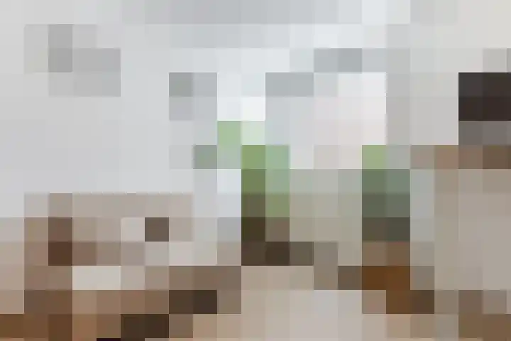 Feike de Boerlaan 142 Amsterdam thumbnail 4