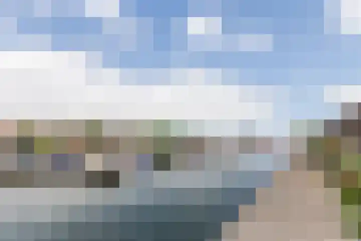 Feike de Boerlaan 142 Amsterdam thumbnail 41