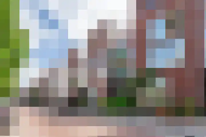Feike de Boerlaan 142 Amsterdam thumbnail 6