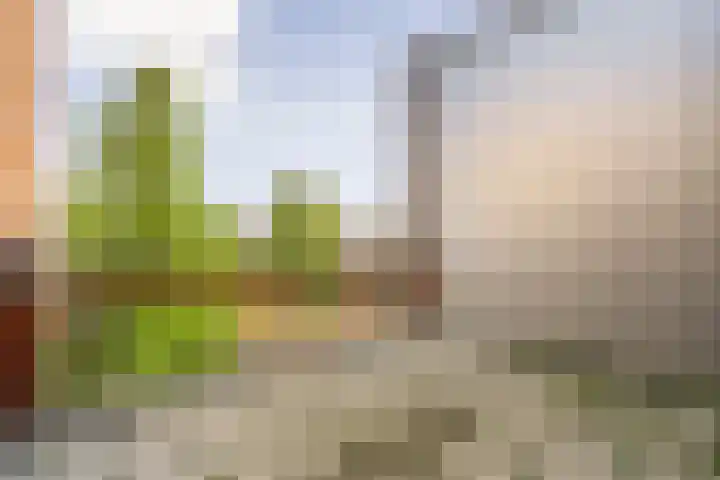 Feike de Boerlaan 148 Amsterdam thumbnail 22