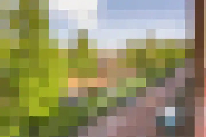 Feike de Boerlaan 148 Amsterdam thumbnail 25