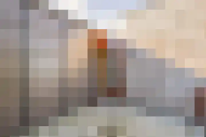 Feike de Boerlaan 148 Amsterdam thumbnail 26