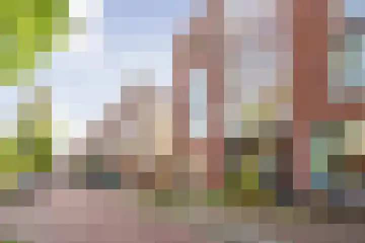 Feike de Boerlaan 148 Amsterdam thumbnail 27