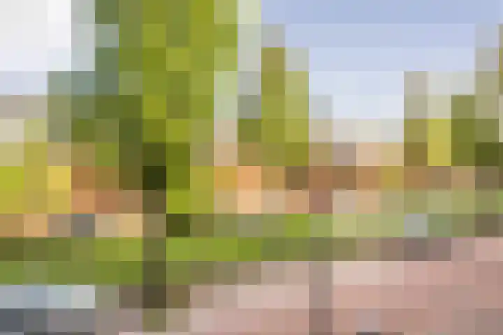 Feike de Boerlaan 148 Amsterdam thumbnail 4