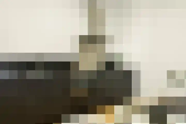 Feike de Boerlaan 155 Amsterdam thumbnail 42