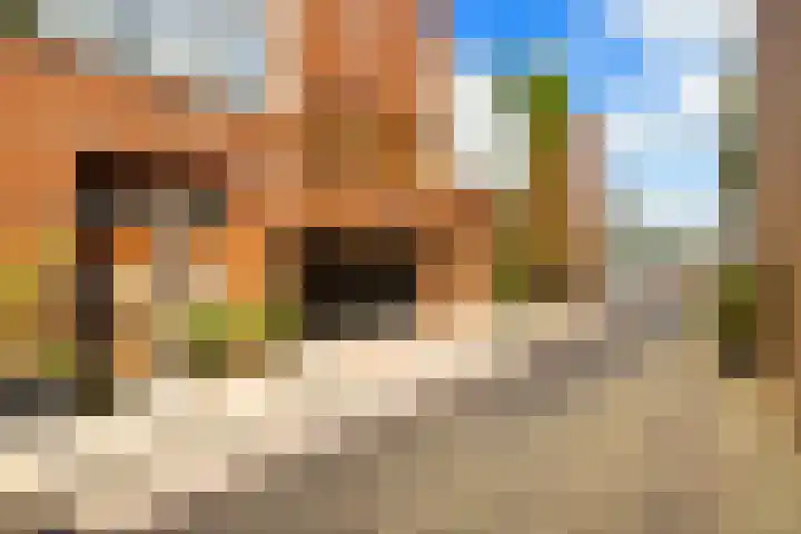 Feike de Boerlaan 155 Amsterdam thumbnail 43