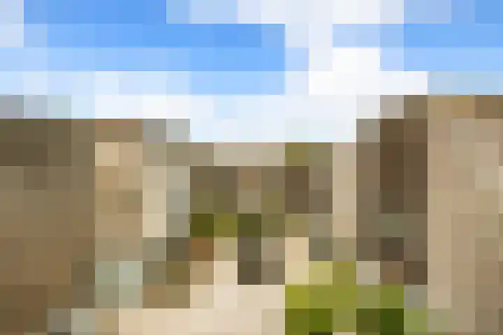 Feike de Boerlaan 155 Amsterdam thumbnail 6