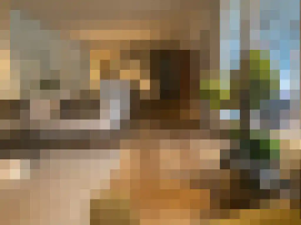 Feike de Boerlaan 314 Amsterdam thumbnail 4