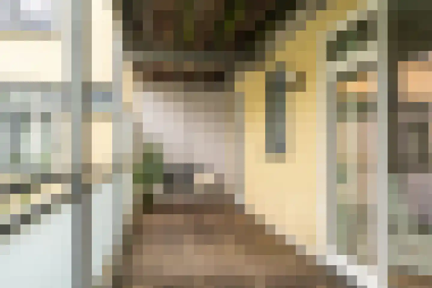 Feike de Boerlaan 47 Amsterdam thumbnail 27