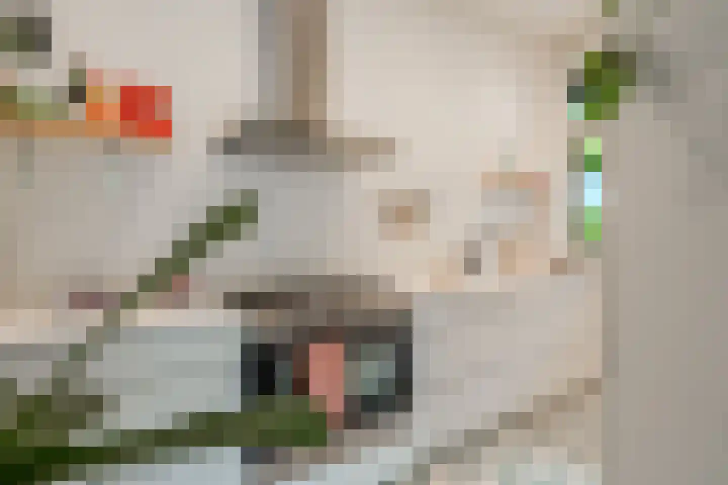 Feike de Boerlaan 47 Amsterdam thumbnail 4