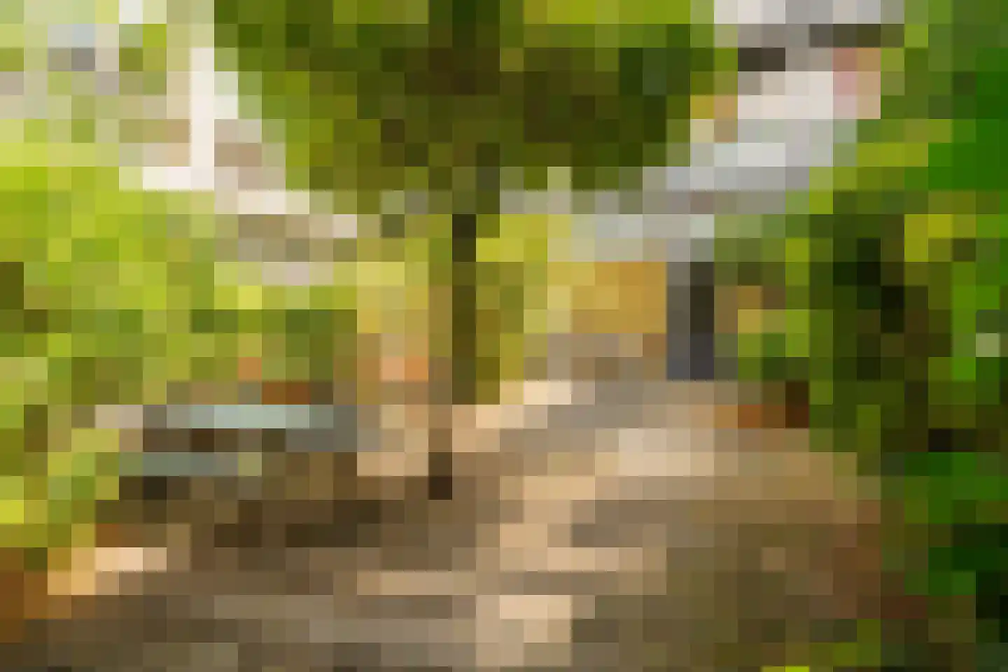 Feike de Boerlaan 47 Amsterdam thumbnail 44