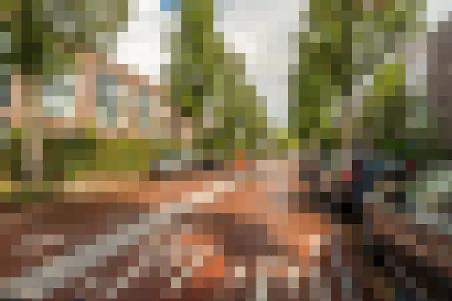 Feike de Boerlaan 47 Amsterdam thumbnail 46